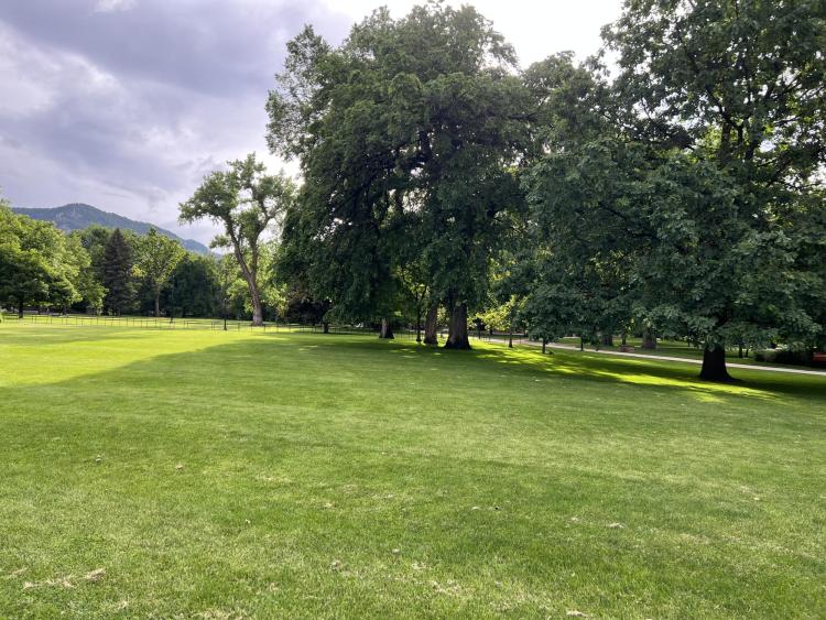 Norlin lawn