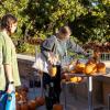 Students look at pumpkins on campus